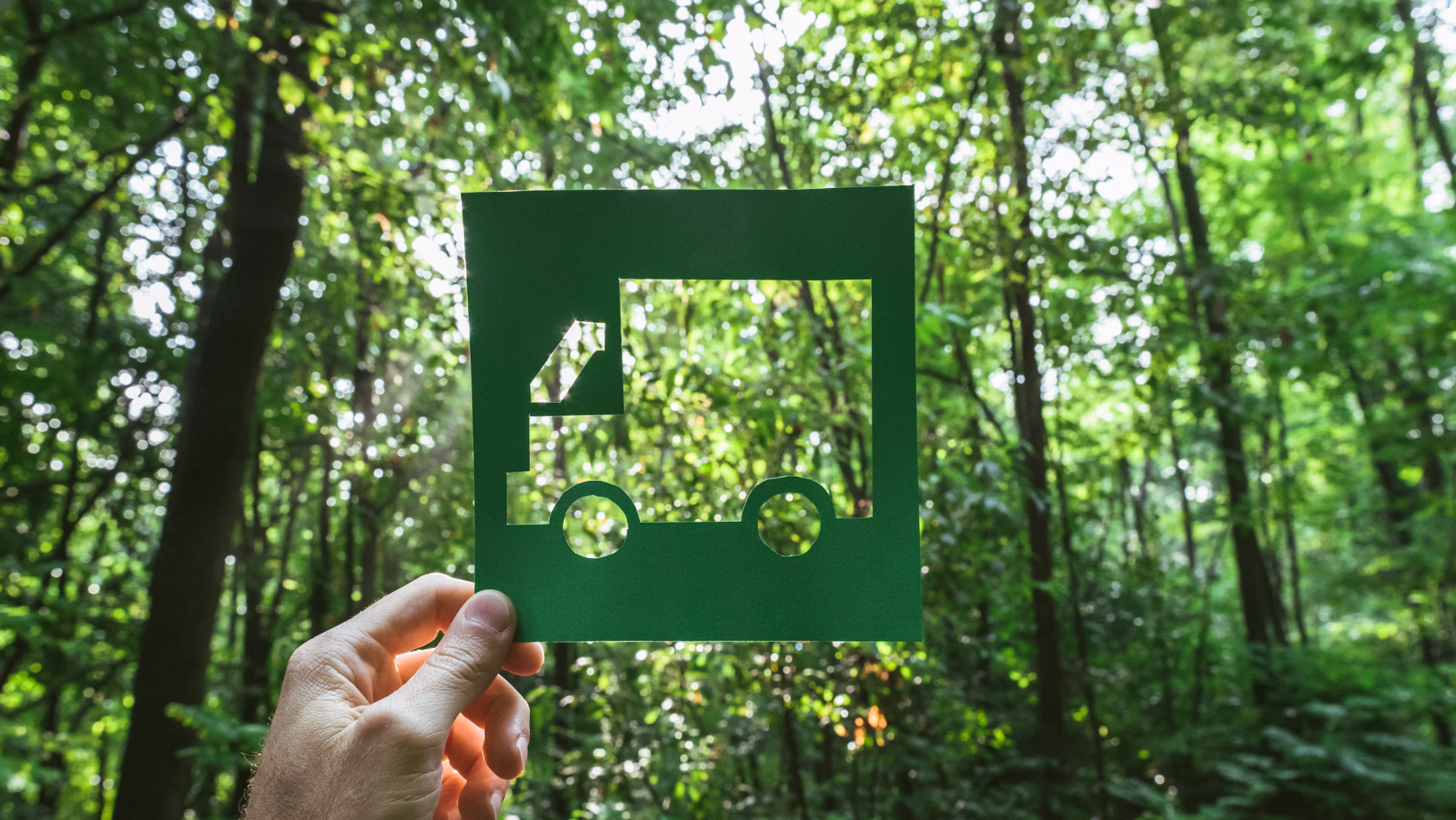 Zielona logistyka w transporcie